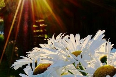 İÇİMİZDEKİ IŞIĞI KEŞFET!