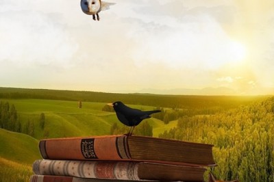 nazımsı beyrek - Harun Ceylan