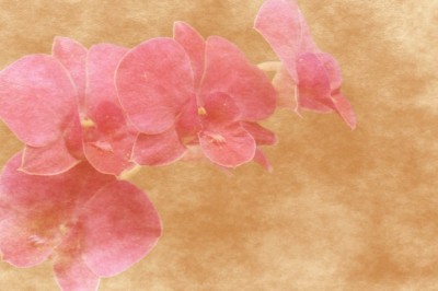 Yalnız Aşk - Metin Arpacı