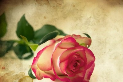 Yâre Hasret - Bülent Kaya