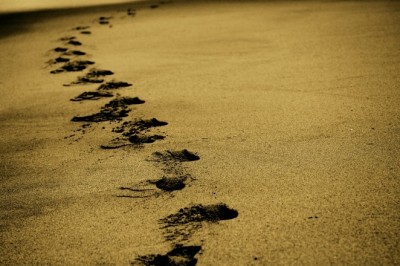 Ruhumun Çığlıkları - Zeliha Şevik